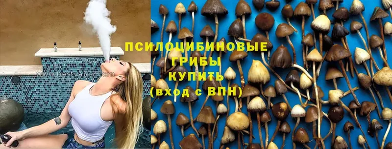 Псилоцибиновые грибы Magic Shrooms Зеленокумск